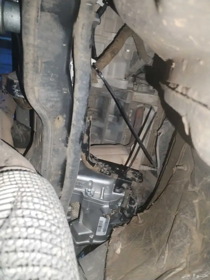دودة دركسيون فورت تورس 2