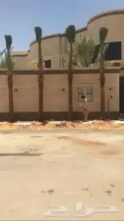 اعمال النخيل بكافة انواعها توريدها وزراعتها 6