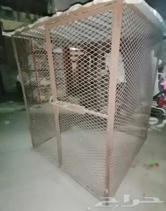 قفس على سوم 1
