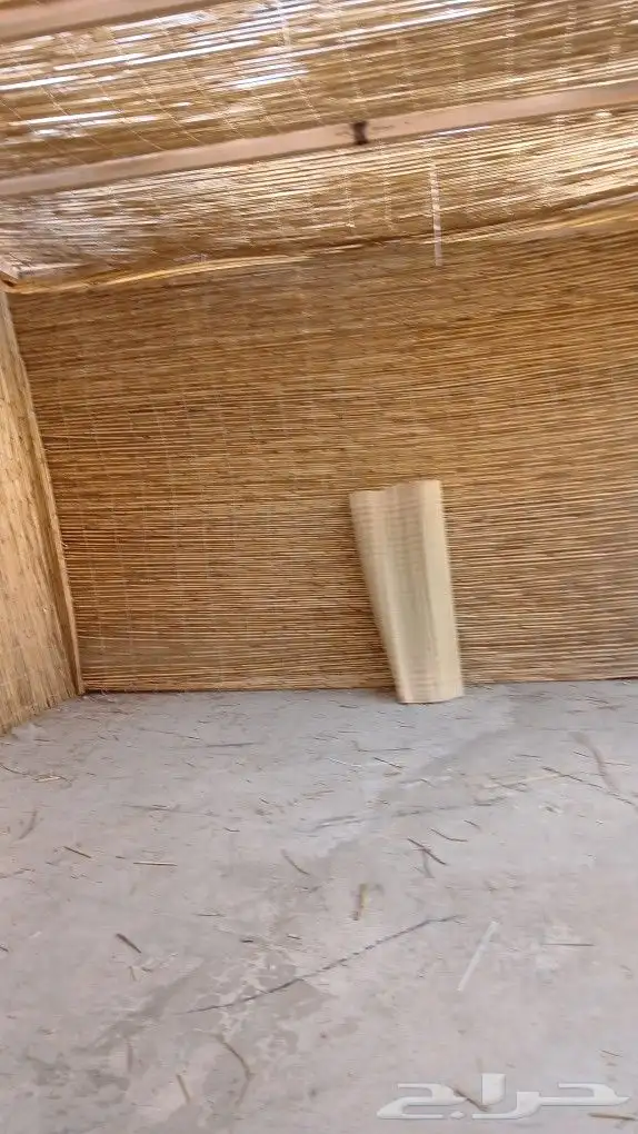 عريش الرياض 10