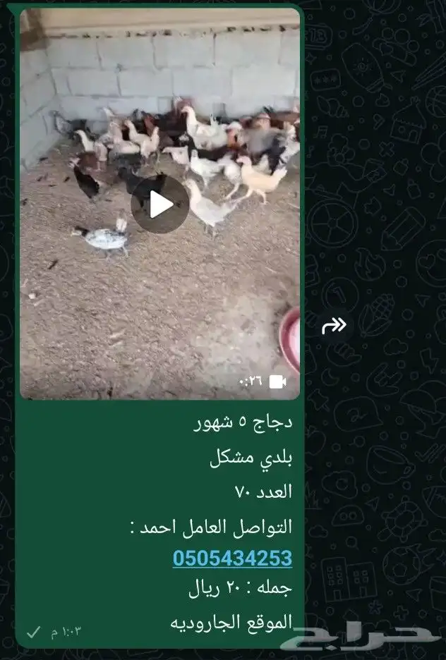 دجاج بلدي مشكل .. 0
