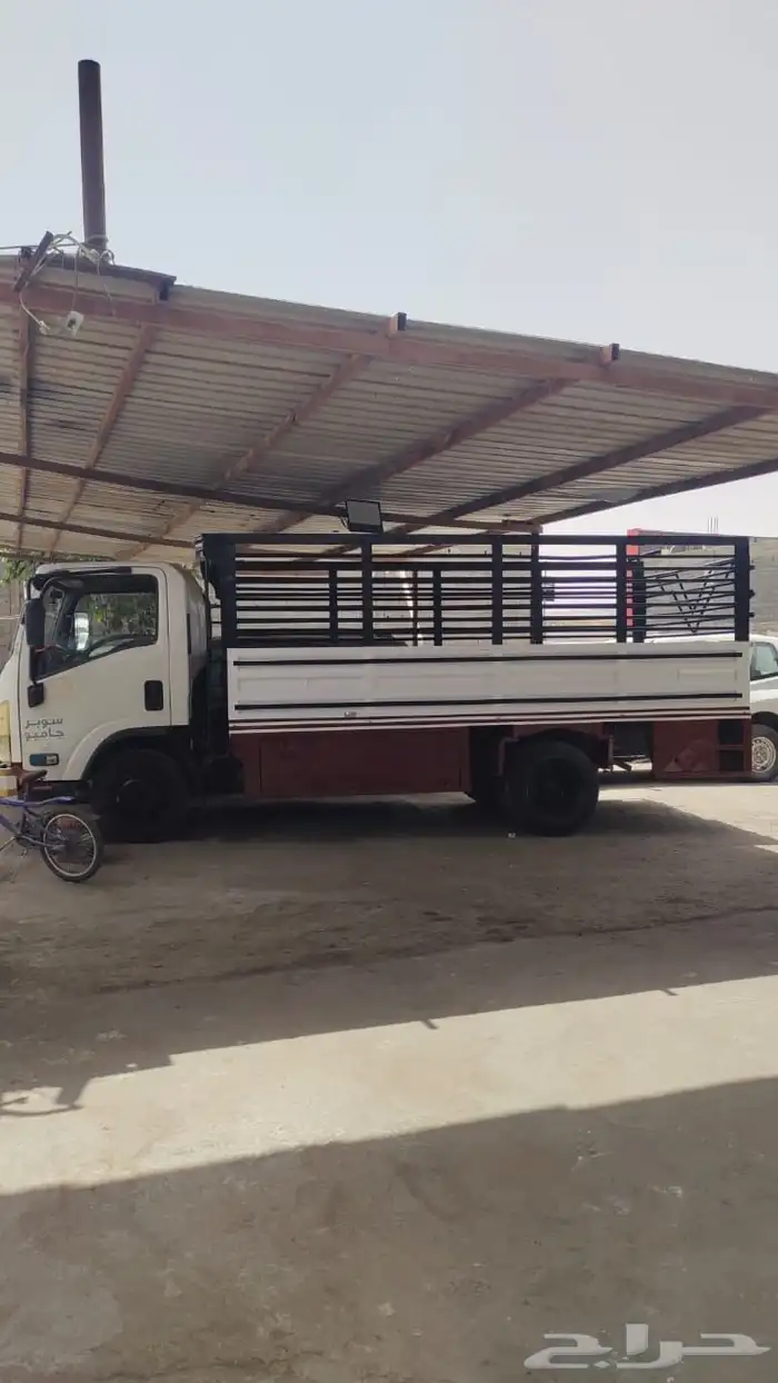 دينا ايسوزو 2015 للايجار 0