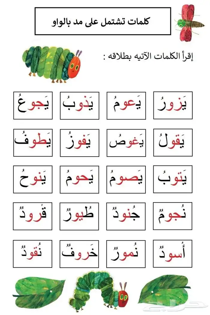 تأسيس عربى وحساب وماث وقرأن 0