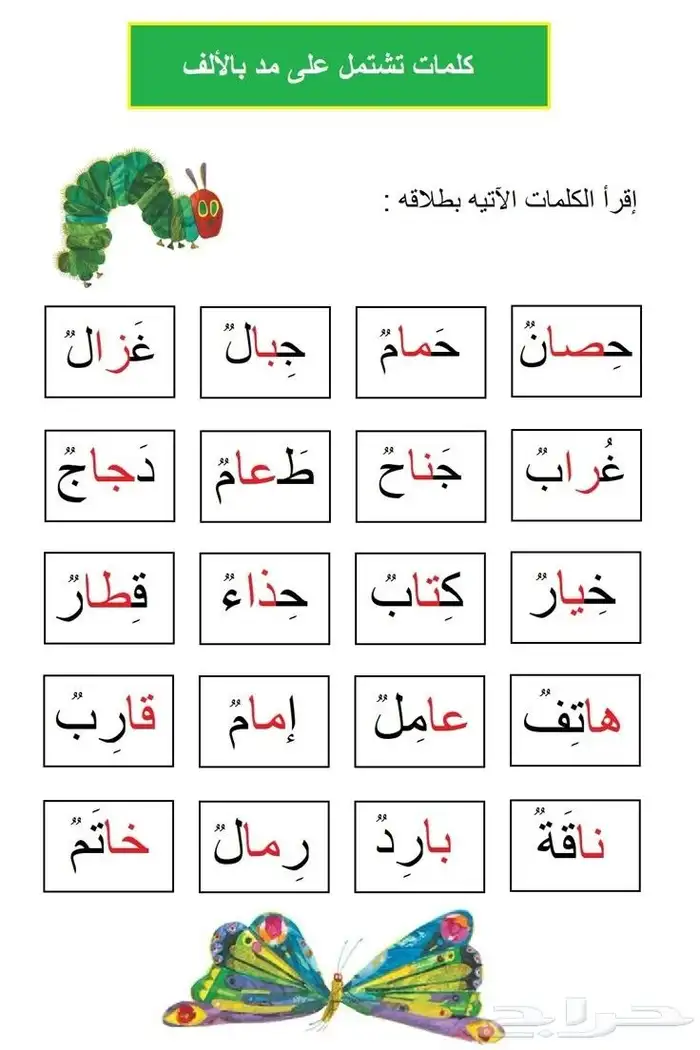 تأسيس عربى وحساب وماث وقرأن 1