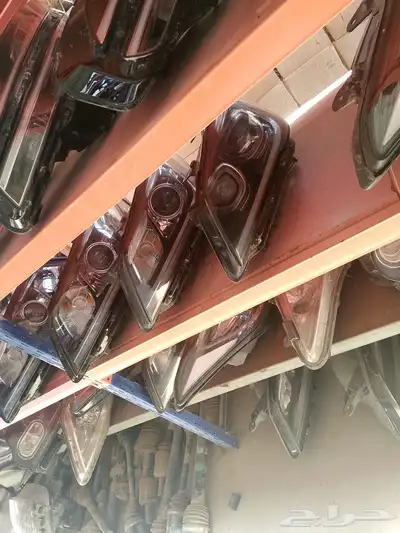 إسطبات خلفيه جنسس إسطبات خلفيه زيزو 0