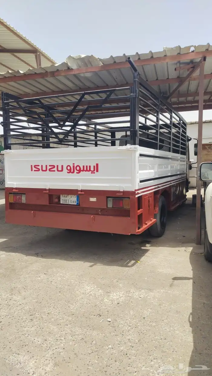 دينا ايسوزو 2015 للايجار 1