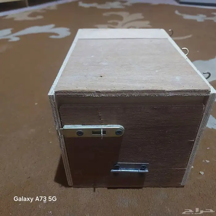 مستلزمات عصافير وببغاء 5