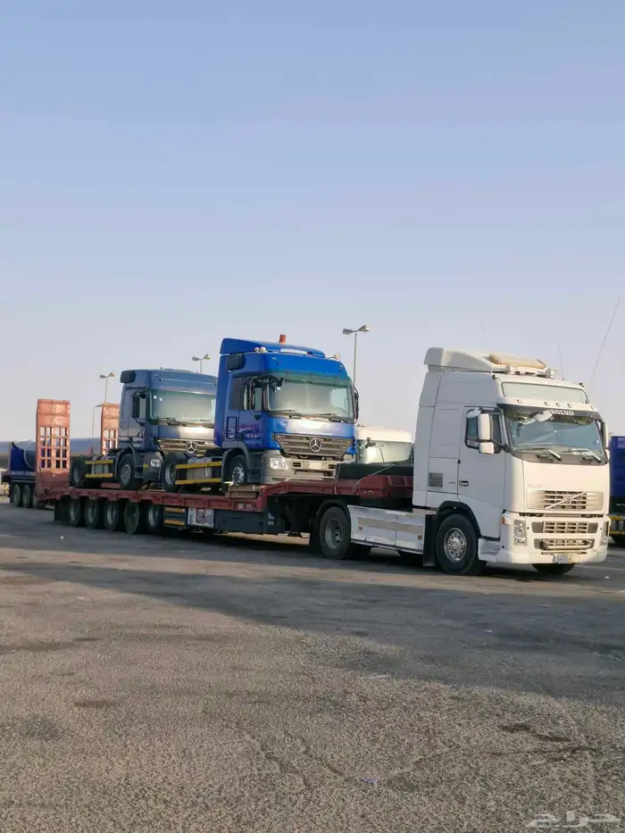 لوبد روضت الهباس شعبت نصاب حفرالباطن 4