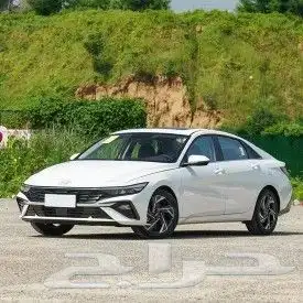 هونداي النترا بطاقة جمركية GLX 2025 Elite Edition 14