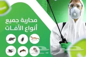 شركة مكافحة حشرات بمكة رش الحشرات مكه index