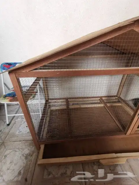 مطير كوخ للطيور. عصافير الجنة. زيبرا. روز. كنيور. كروان 6