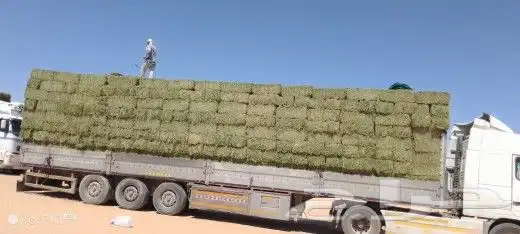 حراج اعلاف برسيم وتبن وذره ورودس 4