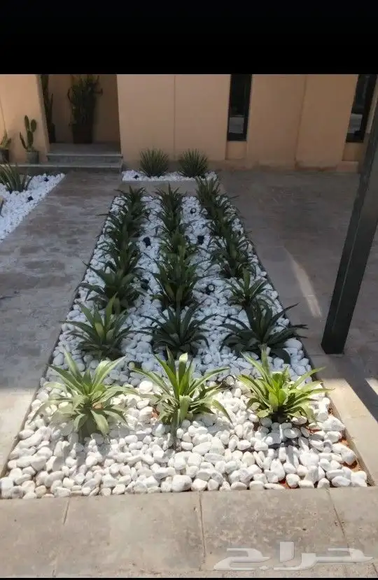 فني تنسيق حدائق وشبكات راي 4