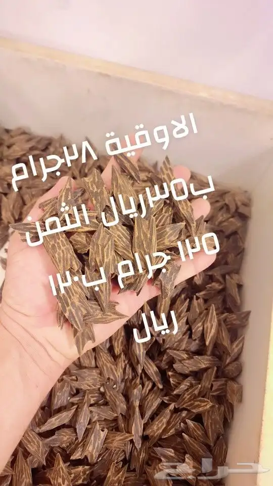 عروض واباسعار جملة الجمله 7