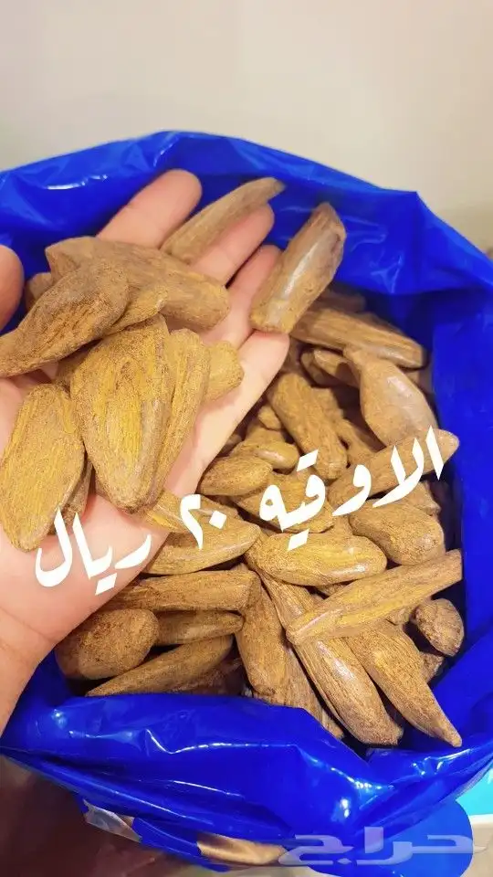 عروض واباسعار جملة الجمله 3