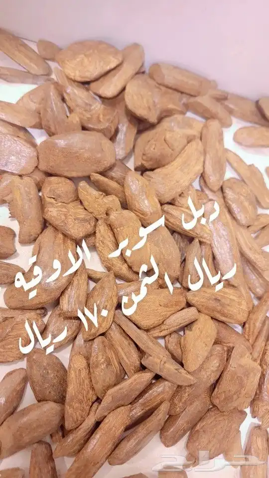 عروض واباسعار جملة الجمله 8