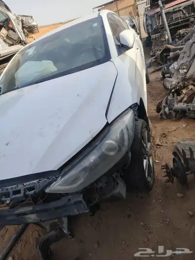 النترا 2018. 2017 2019 1