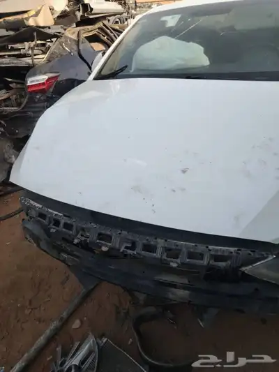 النترا 2018. 2017 2019 4