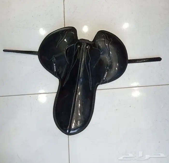 سرج جوكي 0