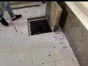 شركة مكافحة حشرات رش مبيدات صرصار رش دخان عقرب بق دفان نمل 5