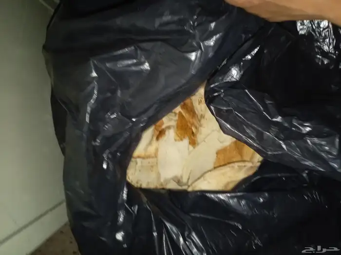 خبز ناشف نص كيس للبيع ب 15 ريال نظيف ما فيه عفن 2