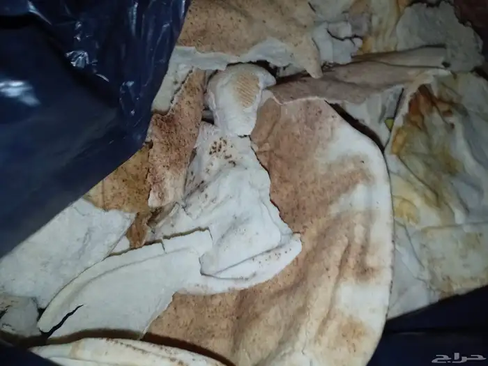 خبز ناشف نص كيس للبيع ب 15 ريال نظيف ما فيه عفن 3