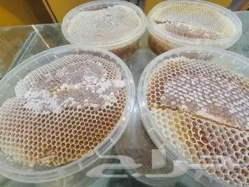 قرصان سمره طبيعي نحل بلدي وعسل سمره درجة أولى 3