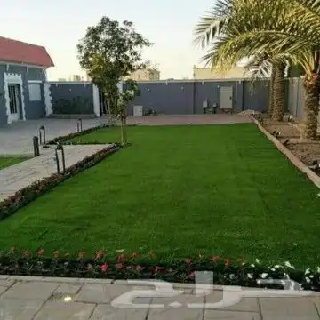 مهندس كمال  لتنسيق الحدائق بالاحساء 5
