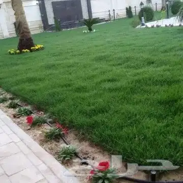 مهندس كمال  لتنسيق الحدائق بالاحساء 4