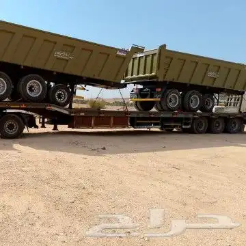 لوبد في القصيم 0