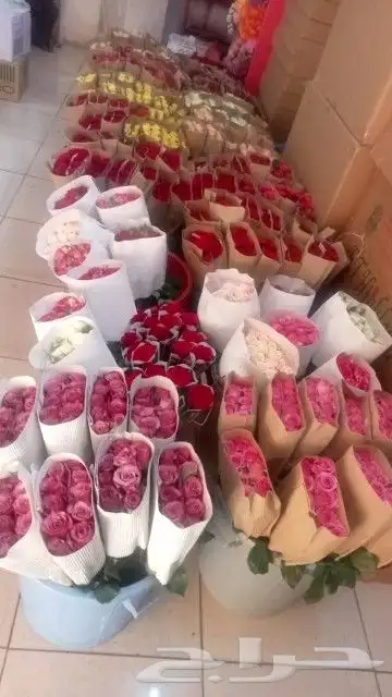 ورد جمله سعر الربطه 30 ريال 2