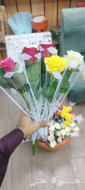 ورد جمله سعر الربطه 30 ريال 0