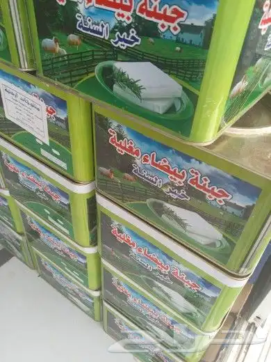 جبنه مقليه عرب 6