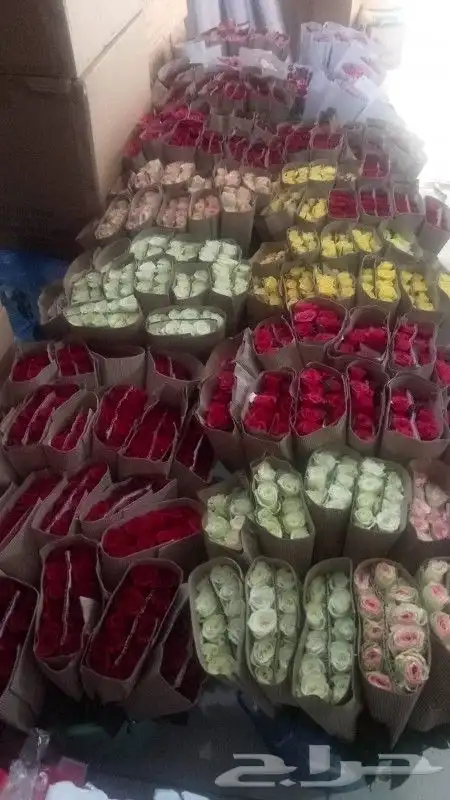 ورد جمله سعر الربطه 30 ريال 4