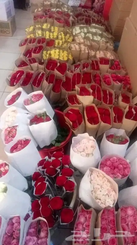 ورد جمله سعر الربطه 30 ريال 3