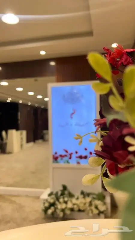 شاشات استقبال 1