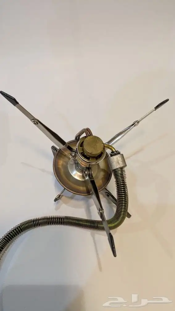 عنكبوت zippo 7