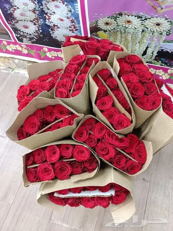 ورد جمله سعر الربطه 30 ريال 1