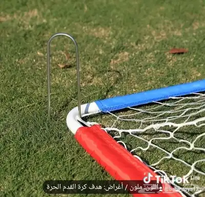 فنون وترفيه الرياض 5