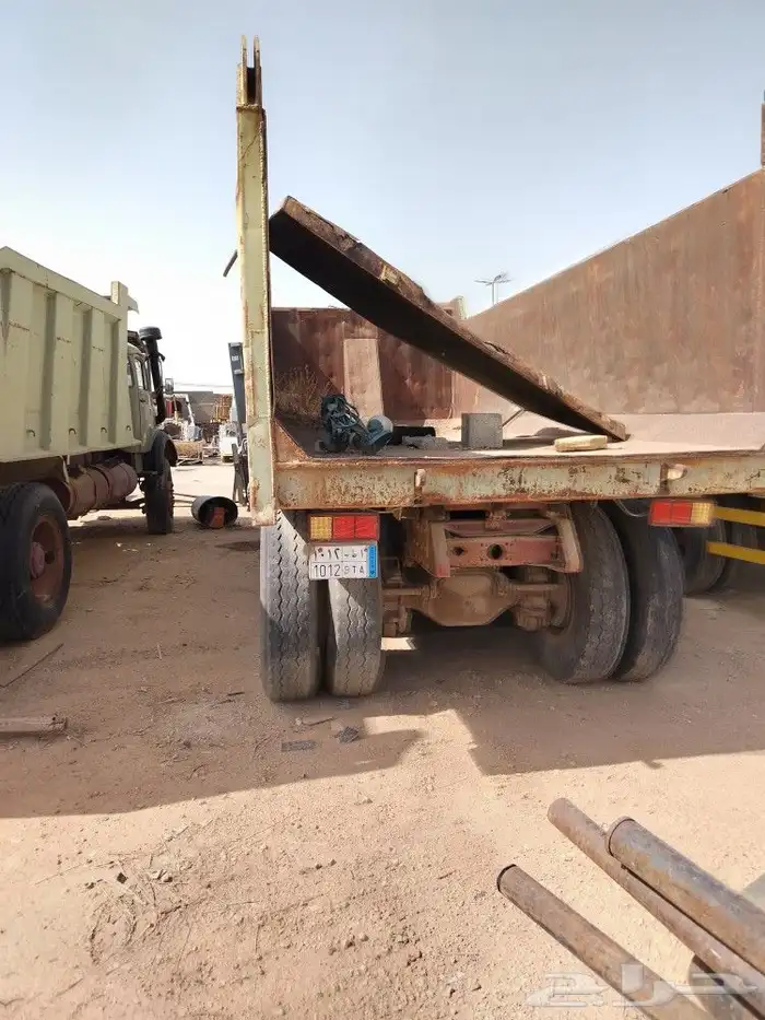 نوع العرض كلاب سقس عدد 2 2