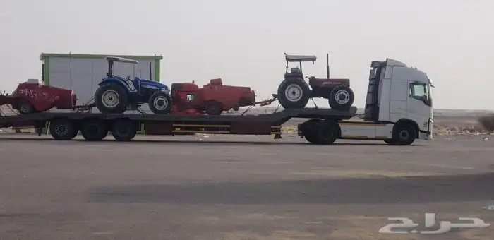 لوبد متواجد في تبوك 0