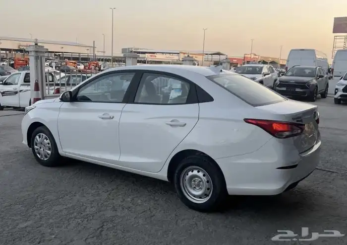 شنجان سفن 2024 5