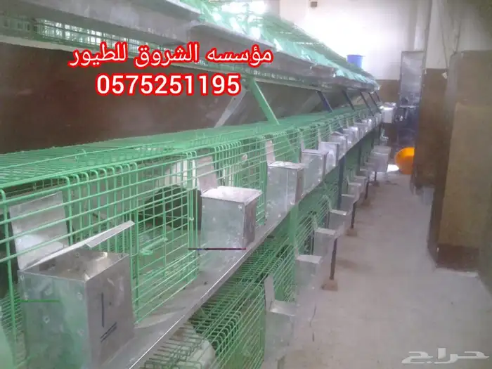 بطاريه ارانب 14عين 15