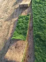 جميع انواع الثيل 0