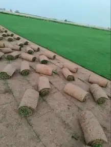 جميع انواع الثيل 5