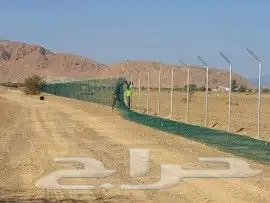 مقاول نخيل وأشجار زيتون وتركيب الشبوك 7