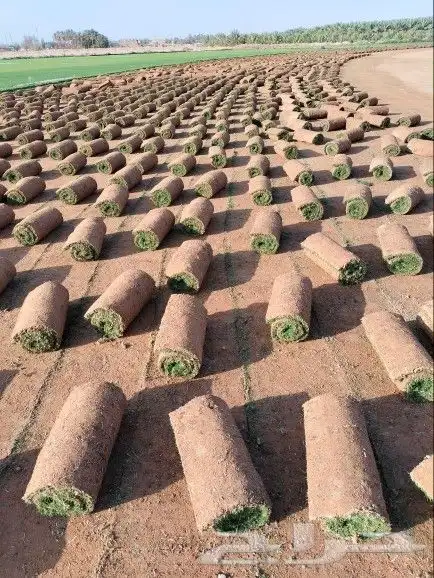 جميع انواع الثيل 4
