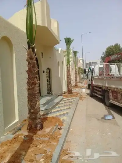 يوجد لدينا نخل عربي ونخل وشنطني وزيتون 1