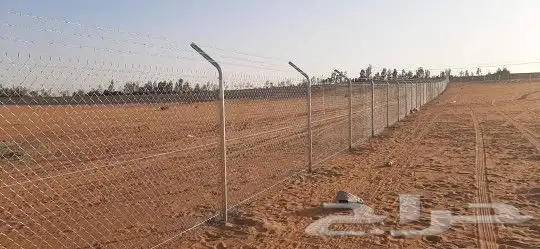 مقاول نخيل وأشجار زيتون وتركيب الشبوك 6