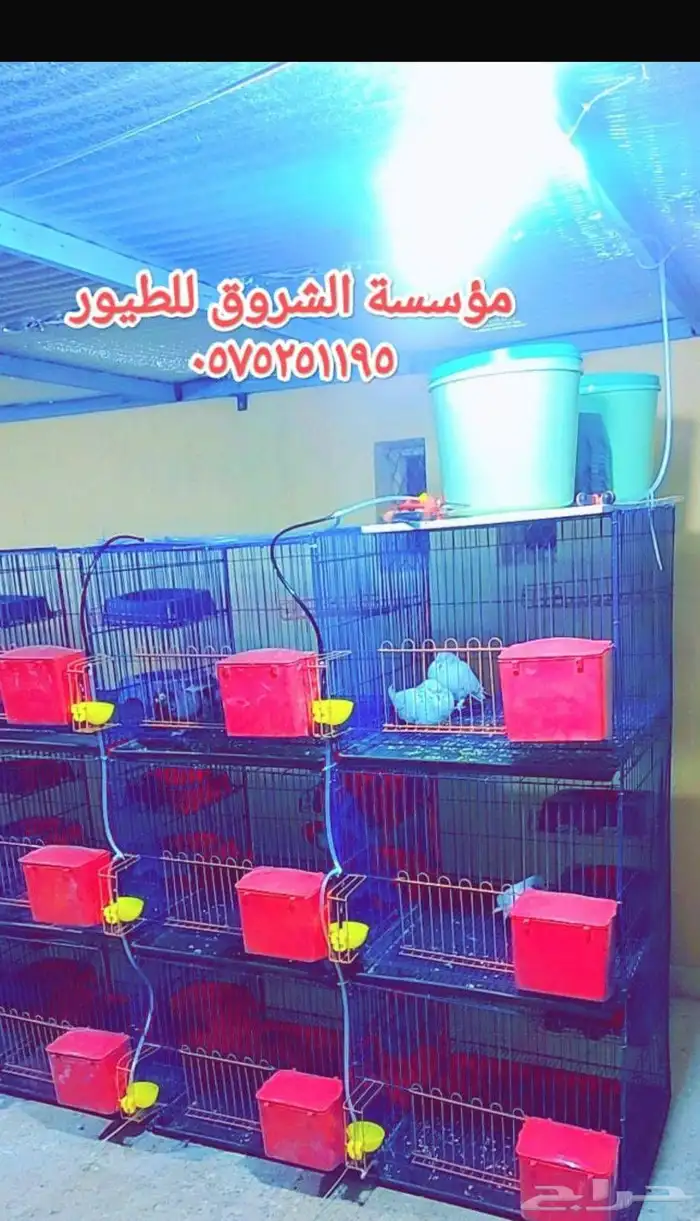 محكر حمام كامل ثلاث ادوار 170 ريال 7